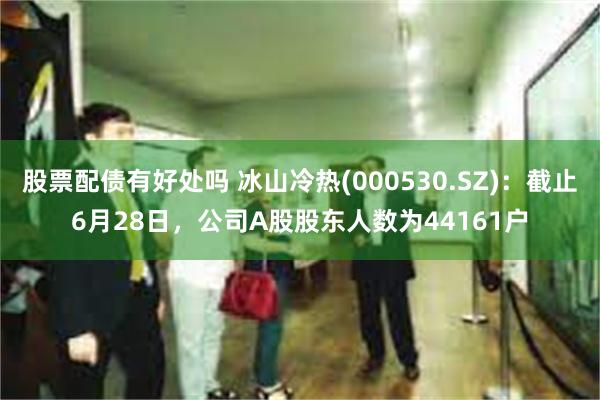 股票配债有好处吗 冰山冷热(000530.SZ)：截止6月28日，公司A股股东人数为44161户