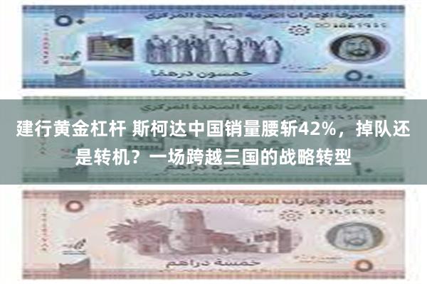 建行黄金杠杆 斯柯达中国销量腰斩42%，掉队还是转机？一场跨越三国的战略转型