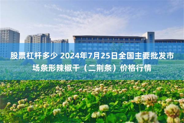 股票杠杆多少 2024年7月25日全国主要批发市场条形辣椒干（二荆条）价格行情