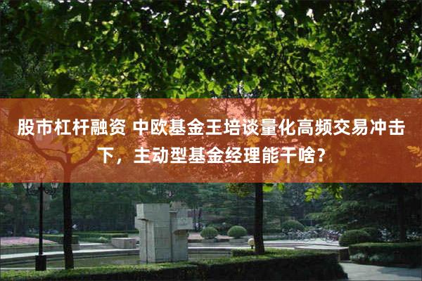 股市杠杆融资 中欧基金王培谈量化高频交易冲击下，主动型基金经理能干啥？