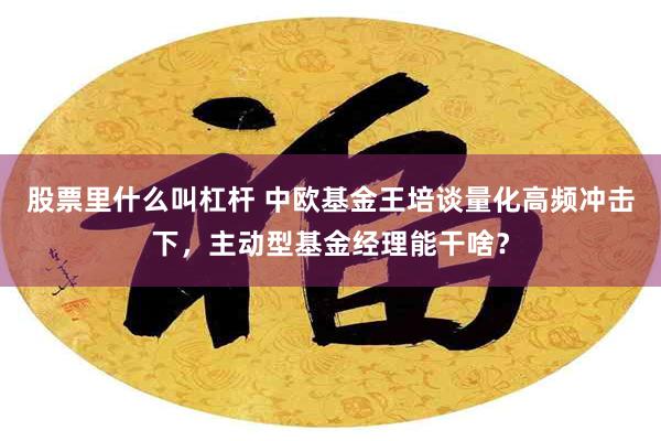 股票里什么叫杠杆 中欧基金王培谈量化高频冲击下，主动型基金经理能干啥？