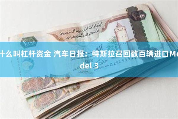 什么叫杠杆资金 汽车日报：特斯拉召回数百辆进口Model 3