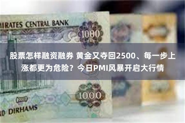 股票怎样融资融券 黄金又夺回2500、每一步上涨都更为危险？今日PMI风暴开启大行情