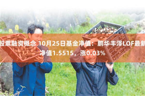 股票融资概念 10月25日基金净值：鹏华丰泽LOF最新净值1.5515，涨0.03%