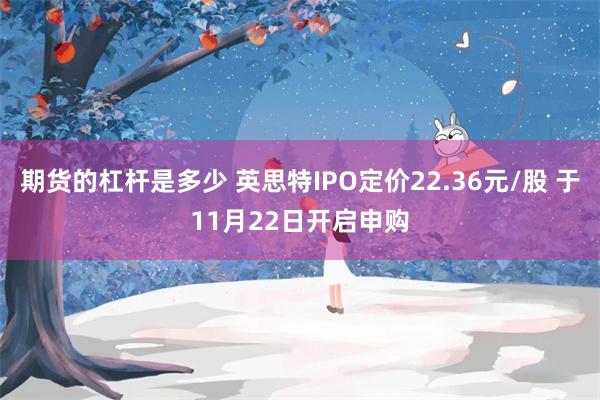 期货的杠杆是多少 英思特IPO定价22.36元/股 于11月22日开启申购