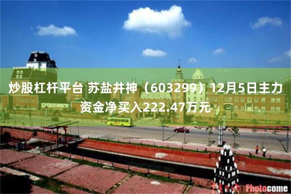 炒股杠杆平台 苏盐井神（603299）12月5日主力资金净买入222.47万元