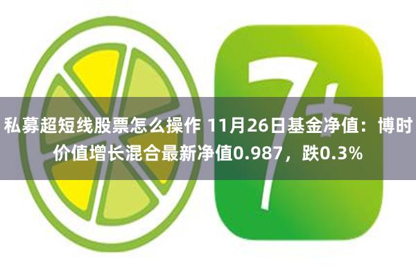 私募超短线股票怎么操作 11月26日基金净值：博时价值增长混合最新净值0.987，跌0.3%