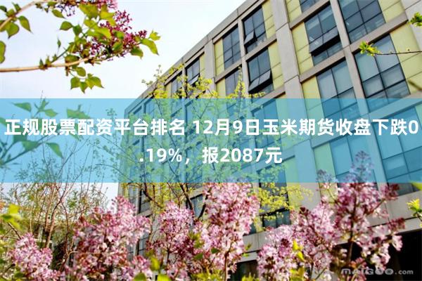 正规股票配资平台排名 12月9日玉米期货收盘下跌0.19%，报2087元