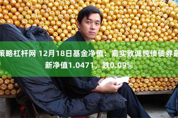 策略杠杆网 12月18日基金净值：嘉实致诚纯债债券最新净值1.0471，跌0.09%