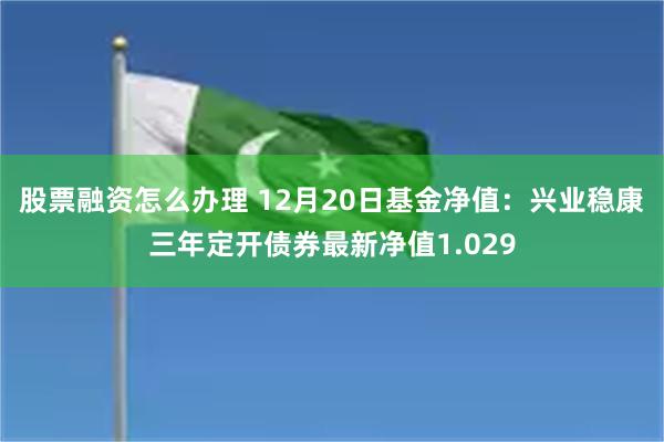 股票融资怎么办理 12月20日基金净值：兴业稳康三年定开债券最新净值1.029