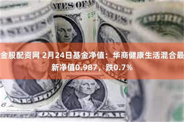 金股配资网 2月24日基金净值：华商健康生活混合最新净值0.987，跌0.7%