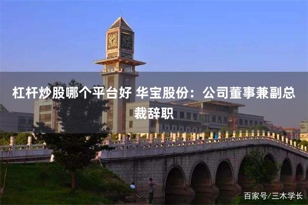 杠杆炒股哪个平台好 华宝股份：公司董事兼副总裁辞职