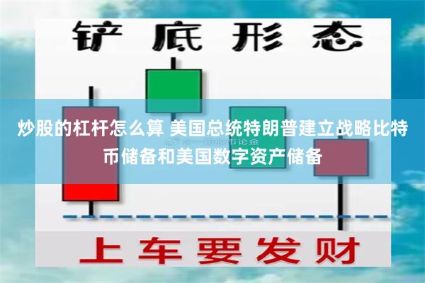 炒股的杠杆怎么算 美国总统特朗普建立战略比特币储备和美国数字资产储备