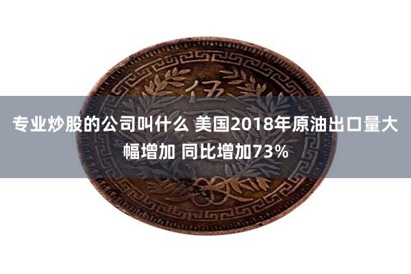 专业炒股的公司叫什么 美国2018年原油出口量大幅增加 同比增加73%